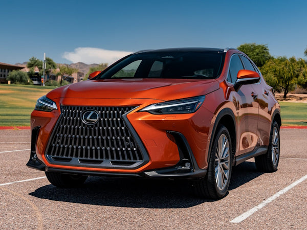 BC Coilovers | 2014-2024 - LEXUS NX Plug-in Hybrid AWD (Swift Rear Only)